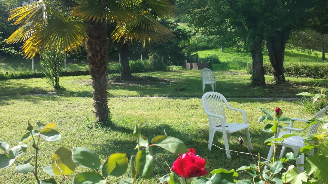 مبيت وإفطار Saint-Cyprien-sur-Dourdou Le Curieux De Conques المظهر الخارجي الصورة